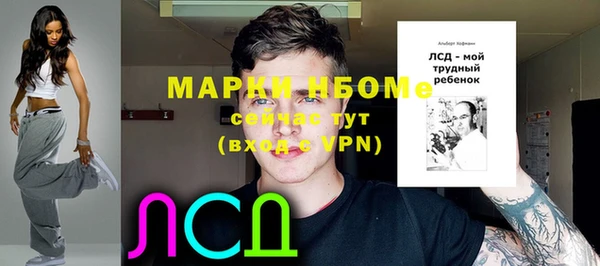 хмурый Михайловск