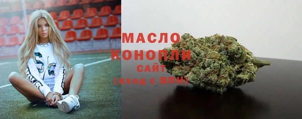 хмурый Михайловск