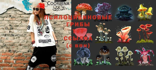 не бодяженный Михайлов