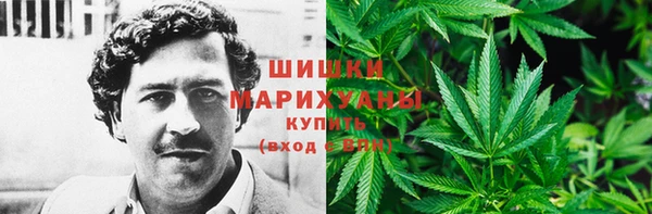 хмурый Михайловск