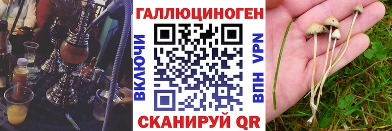 Купить закладки  Заозёрный  Псилоцибиновые грибы мицелий 